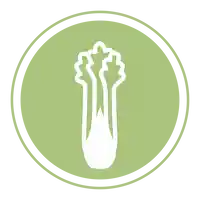 Apio